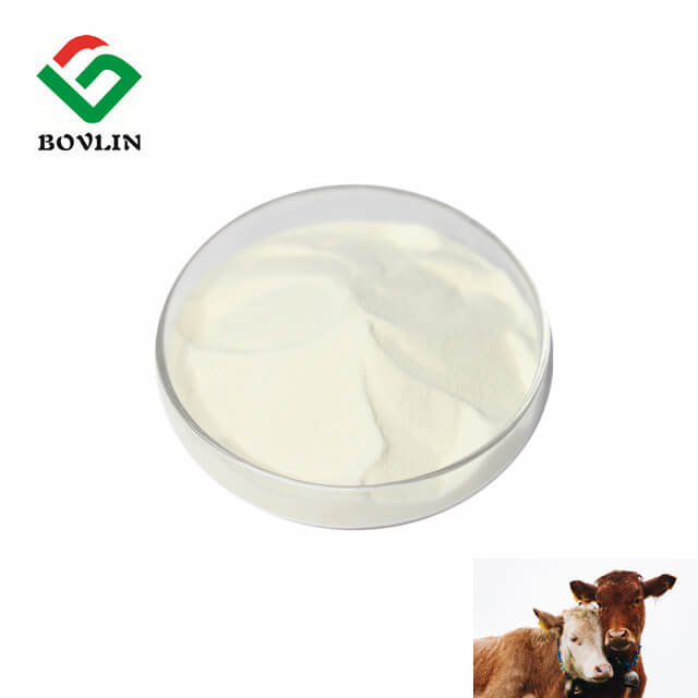 Bovine Bone Collagen Powder
