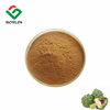 Artichoke Extract