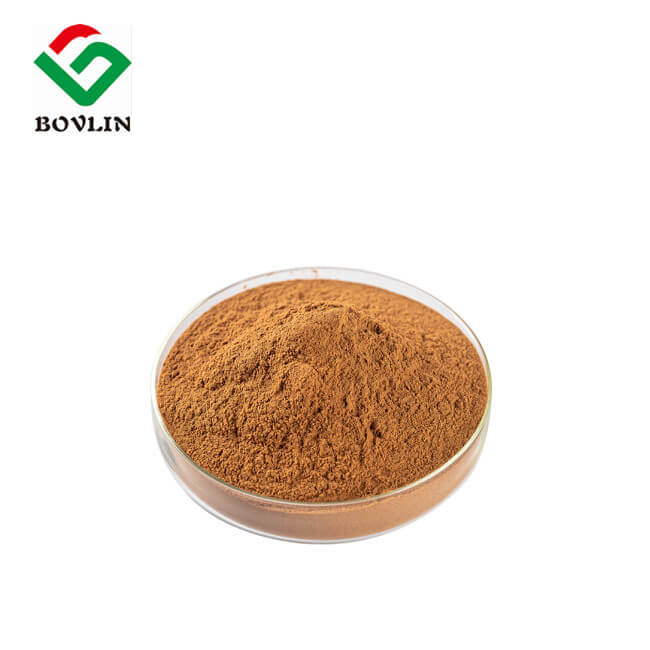 Ginkgo Biloba Extract
