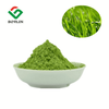 Organic Wheat Grass Powder