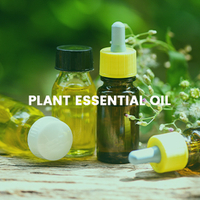 Plant Essential oil&nbsp;company - Bovlin