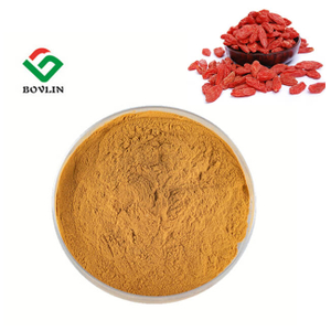 Wolfberry Extract