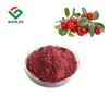 Cranberry Fruit Juice Powder