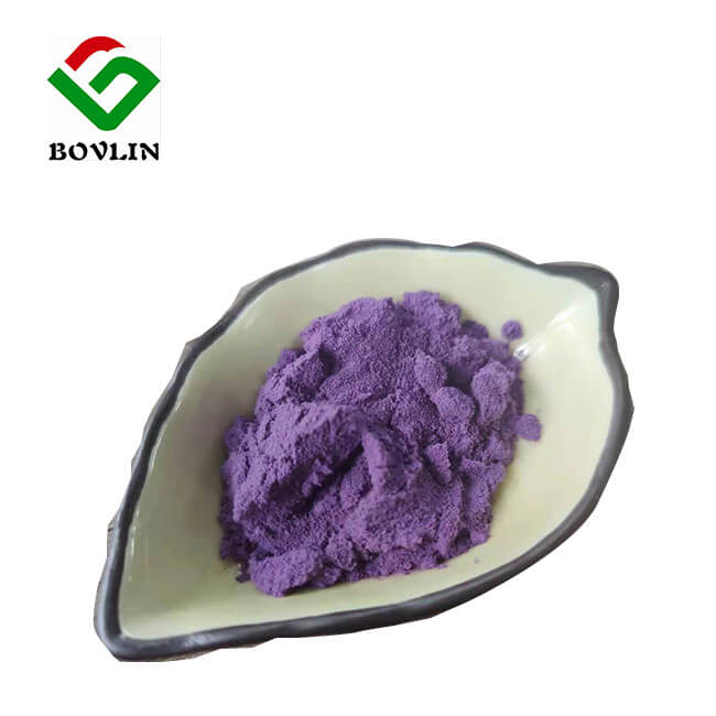 Blueberry Extract
