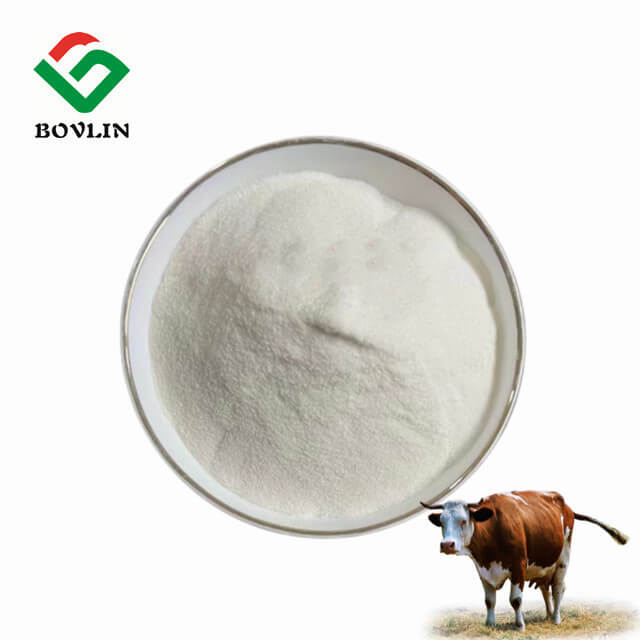 Pure Bovine Collagen Powder