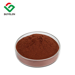 Grape Seed Extract
