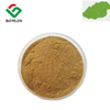 Lotus Leaf Extract