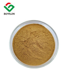 Green Tea Extract